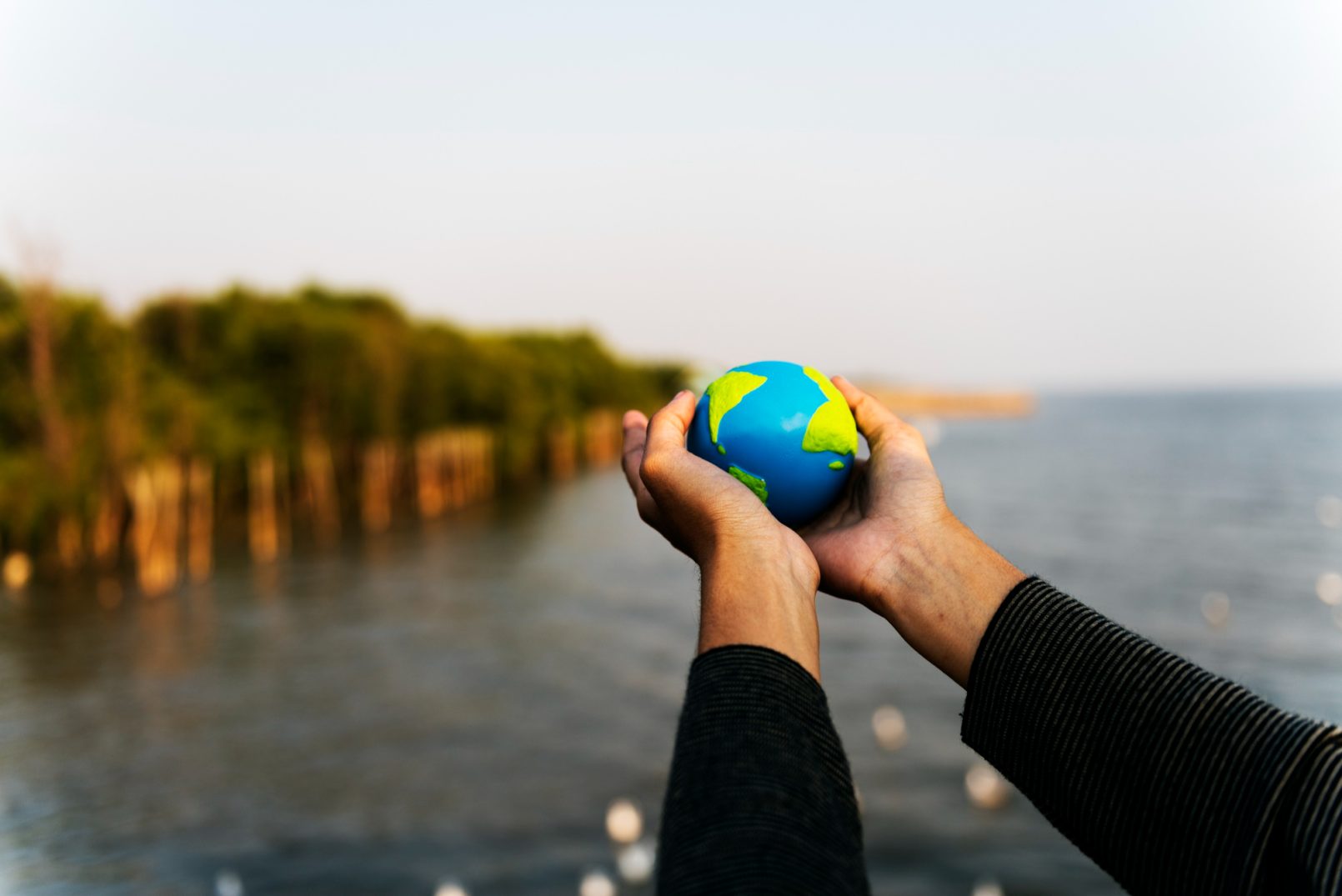 hands-holding-out-small-globe